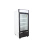 American Chef 25" Glass Door Merchandiser Freezer F1G-25-WS